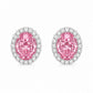 Rosabelle Pink Halo Stud Earrings