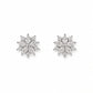 Snowflake Bloom Zirconia Studs - Silvorn India